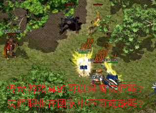 ������Ϸ��Ŀ���û�з�ʦ�𣿷�ʦְҵ���Ŷ��в��ɻ�ȱ��