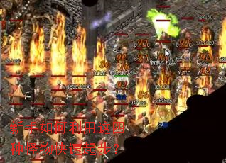 ����������������ֹ�������𲽣�