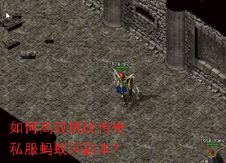 ��θ�Ч��ս����˽�����϶�������