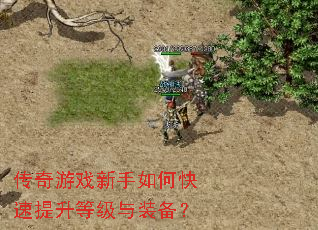 ������Ϸ������ο��������ȼ���װ����