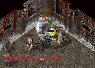 ������ʿѫ����ο���������