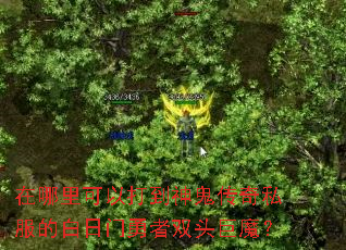 ��������Դ��������˽���İ���������˫ͷ��ħ��