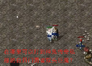 ��������Դ��������˽���İ���������˫ͷ��ħ��