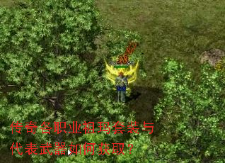 �����ְҵ������װ�����������λ�ȡ��