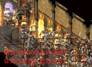 ��Ѫ����ѫ���������ԣ���ο�������ѫ�µȼ���