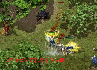 ���͵Ϯ����˽���еķ�ʦ��