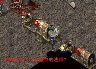 ���͵Ϯ����˽���еķ�ʦ��