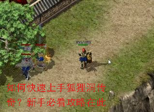 ��ο������ֺ��궴���棿���ֱؿ������ڴ�