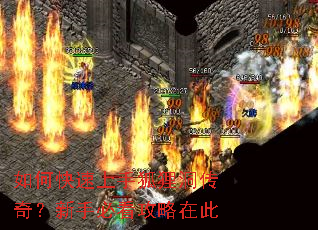 ��ο������ֺ��궴���棿���ֱؿ������ڴ�