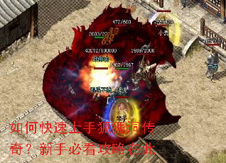 ��ο������ֺ��궴���棿���ֱؿ������ڴ�