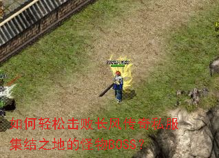 ������ɻ��ܳ��紫��˽������֮�صĹ���BOSS��