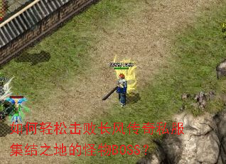 ������ɻ��ܳ��紫��˽������֮�صĹ���BOSS��