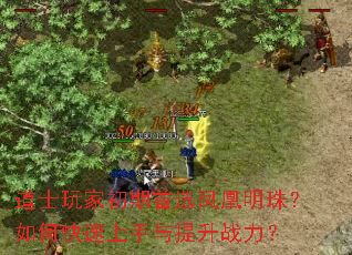 ��ʿ��ҳ�����ѡ������飿��ο�������������ս����