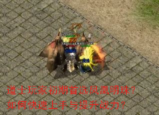 ��ʿ��ҳ�����ѡ������飿��ο�������������ս����