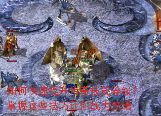 ��ο����������漼�ܵȼ���������Щ��������ս������