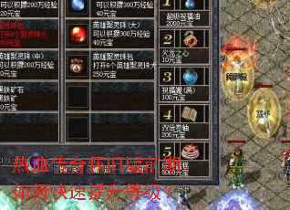 ��Ѫ���滳�ɰ�ǰ����ο��������ȼ���