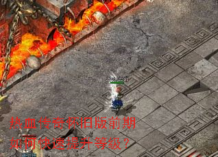 ��Ѫ���滳�ɰ�ǰ����ο��������ȼ���