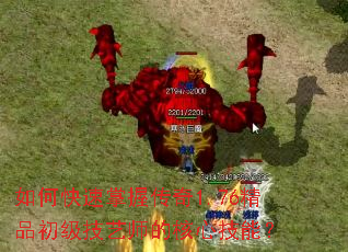 ��ο������մ���1.76��Ʒ��������ʦ�ĺ��ļ��ܣ�