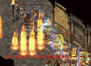 ��ο��ټ���ϴ����������װ����