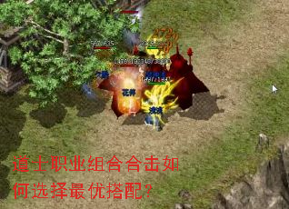 ��ʿְҵ��Ϻϻ����ѡ�����Ŵ��䣿