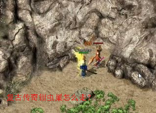 ���Ŵ���ǯ�泲��ô�ߣ�