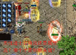 ���ǵ�ʿ�ٻ����������������ĸ�������ʤ�ؼ���