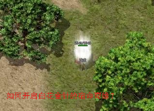 ��ο����׻������������Ե��