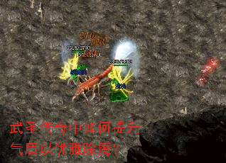 ��ʥ����������������������ų�ħ��