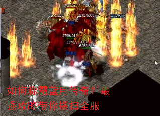 ��γư����´��棿��ǿ���Դ����ɨȫ��