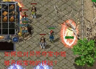 ���Ӧ�����ᱦ���������ɱ������ս��