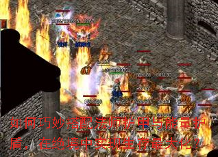 ���������䷨ʦ�������������ܣ��ھ�����ʵ��������󻯣�