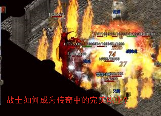 սʿ��γ�Ϊ�����е�����ְҵ��