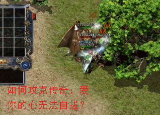 ��ι��˴��棺��������޷��԰Σ�