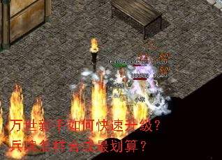 ����������ο������������������ϳ���㣿