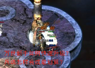 ����������ο������������������ϳ���㣿