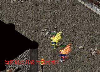 ��γɹ���������������