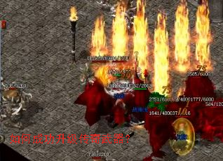 ��γɹ���������������