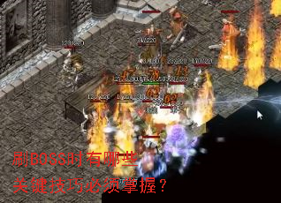 ˢBOSSʱ����Щ�ؼ����ɱ������գ�