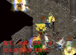 Ѫ����ܡ���ְ�������������Ӣ�����ԣ�