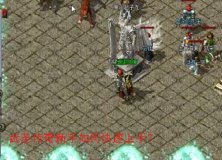 ��ʥ����������ο������֣�