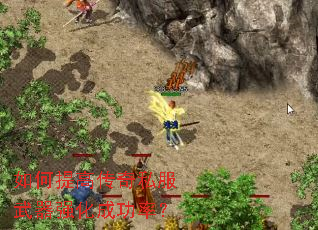 �����ߴ���˽������ǿ���ɹ��ʣ�