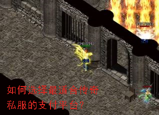 ���ѡ�����ʺϴ���˽����֧��ƽ̨��