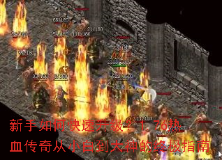 ������ο���������1.76��Ѫ�����С�׵�������ռ�ָ��