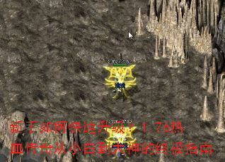 ������ο���������1.76��Ѫ�����С�׵�������ռ�ָ��