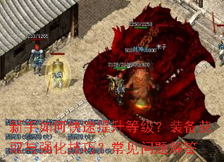 ������ο��������ȼ���װ����ȡ��ǿ�����ɣ�����������