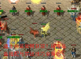 ��ʿ��װ��λ�ȡ��ϡ��װ��������ʵս����ȫ����