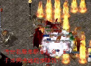 ����˽����ְҵ���������ο�����׬Ǯ��