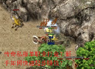 ����˽����ְҵ���������ο�����׬Ǯ��