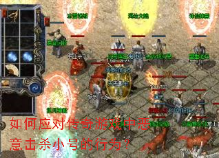 ���Ӧ�Դ�����Ϸ�ж����ɱС�ŵ���Ϊ��