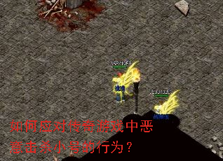 ���Ӧ�Դ�����Ϸ�ж����ɱС�ŵ���Ϊ��